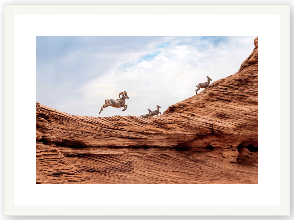 Screen+Shot+2019-07-31+at+3.11.28+PM.png