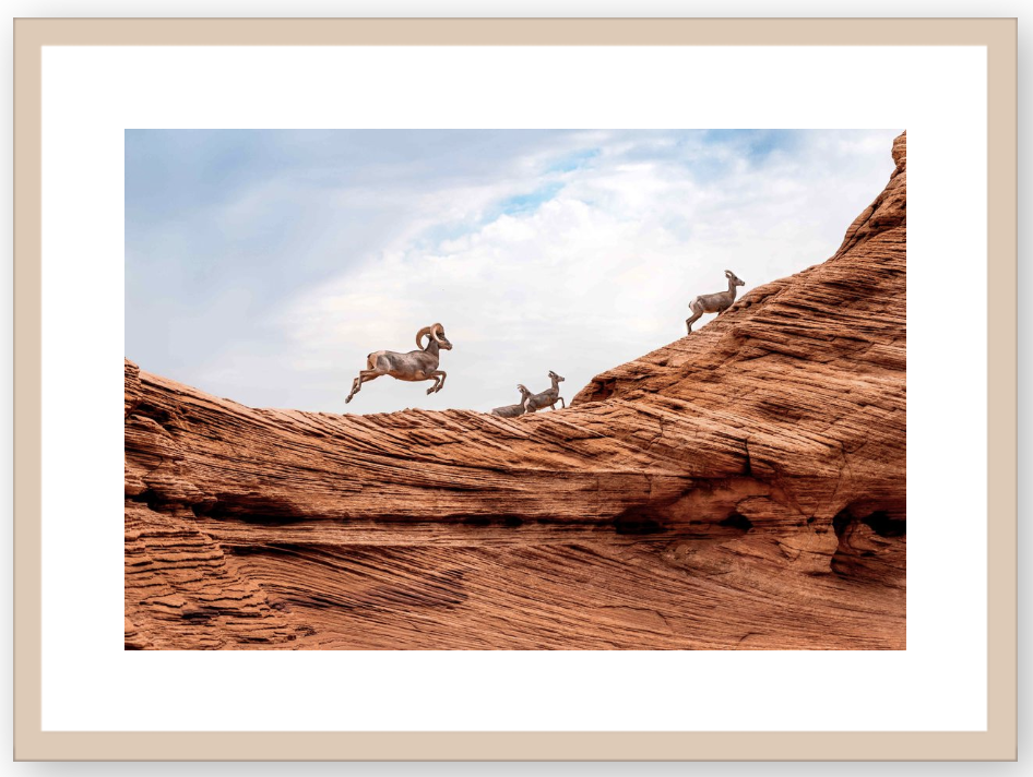 Screen+Shot+2019-07-31+at+3.11.52+PM.png