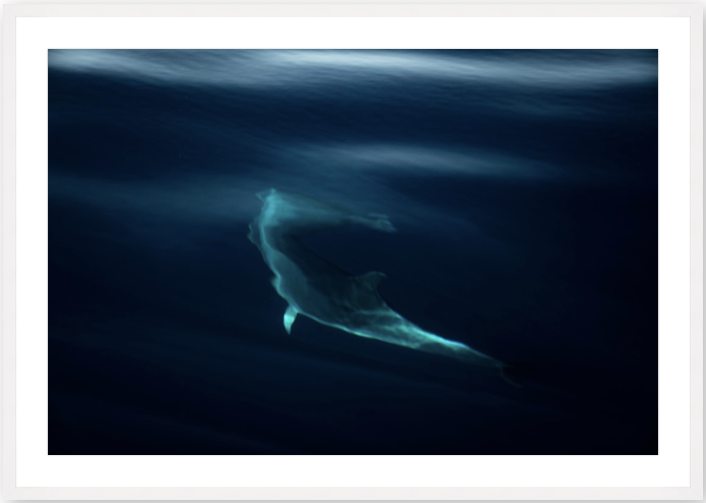 Screen Shot 2021-02-18 at 10.48.32 AM.png