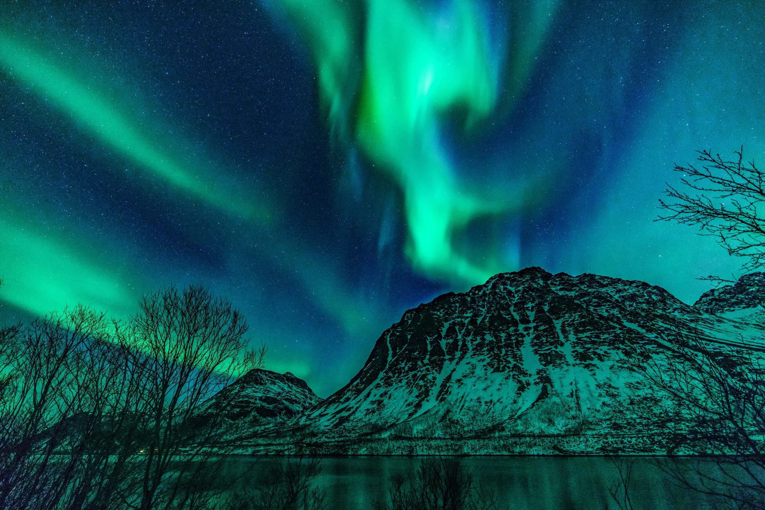 20D91C5D-CF68-4A99-84E0-5736BA7F3B61.JPG