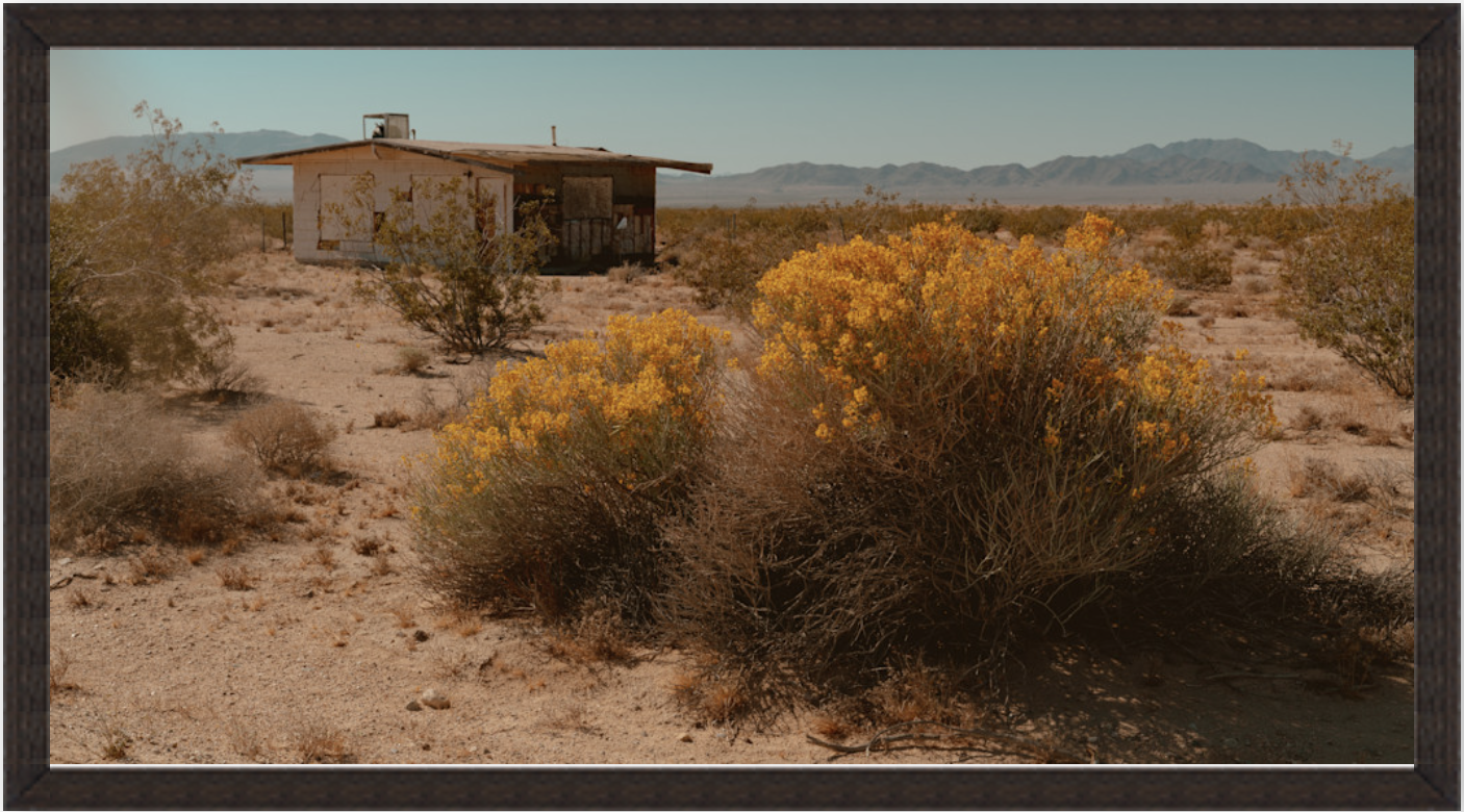 Screenshot 2025-03-25 at 2.20.17 PM.png