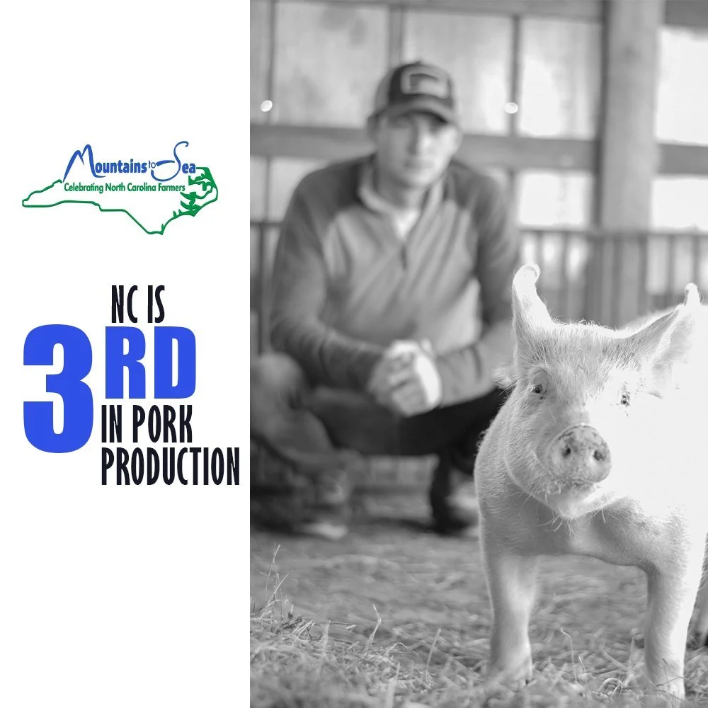 Happy National Pork Month! North Carolina is a leader in pork production and has a $11.2 billion economic impact. 
#porktober #nationalporkmonth #ncfarmersappreciationday