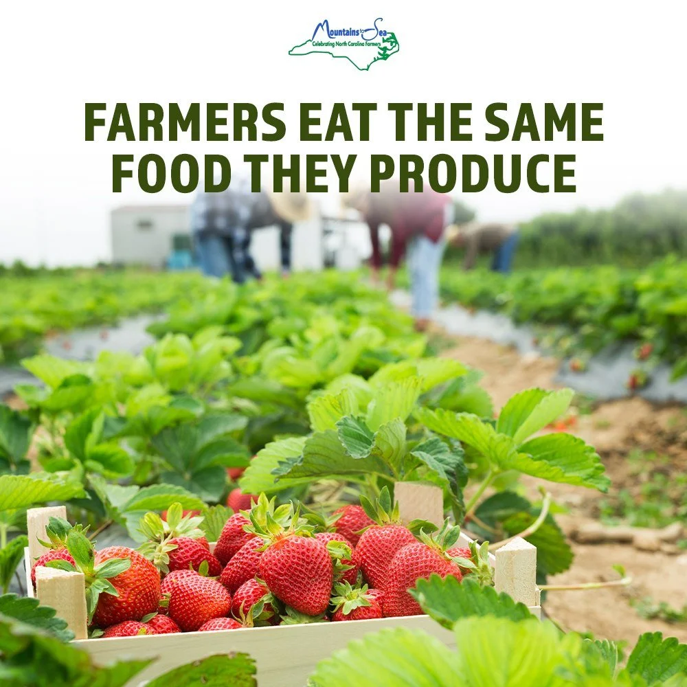 Know that farmers are feeding their families the same food they produce. Thank you farmers for a safe food supply!
#ncfarmersapppreciationday #FromMountainsToSea  #ncagriculture