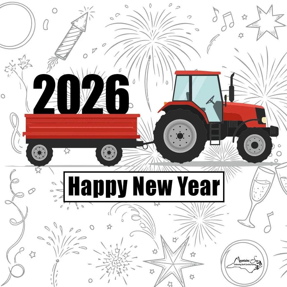 And now we welcome the new year. Full of things that have never been. - R.M. Rilke

Happy New Year!