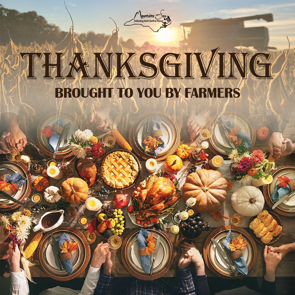 As you consider what you are grateful for, don't forget the farmers who produced the food at your table. 
Happy Thanksgiving to all!
#ncfarmersappreciationday #thankafarmer