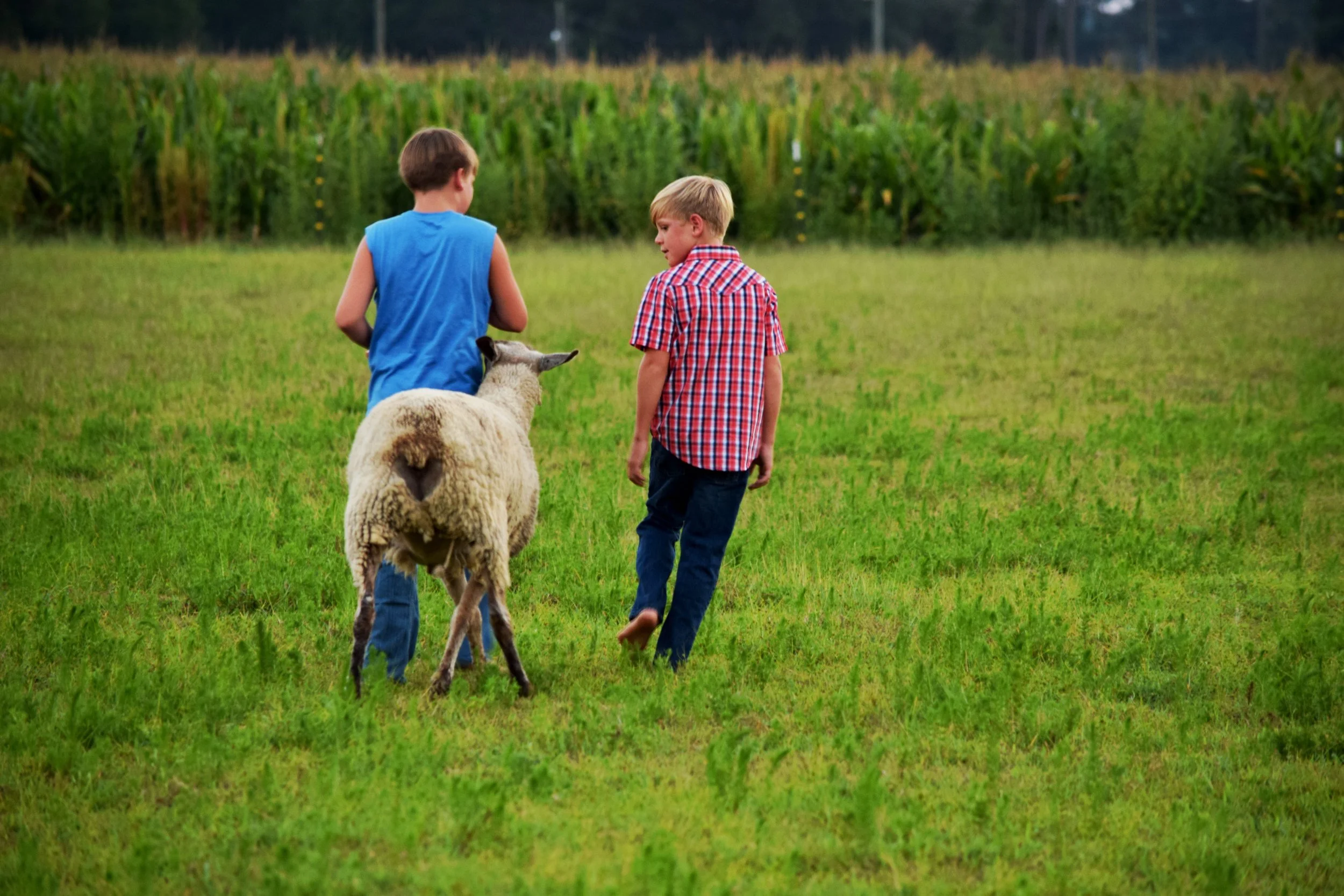 Linton1-farm boys.JPG