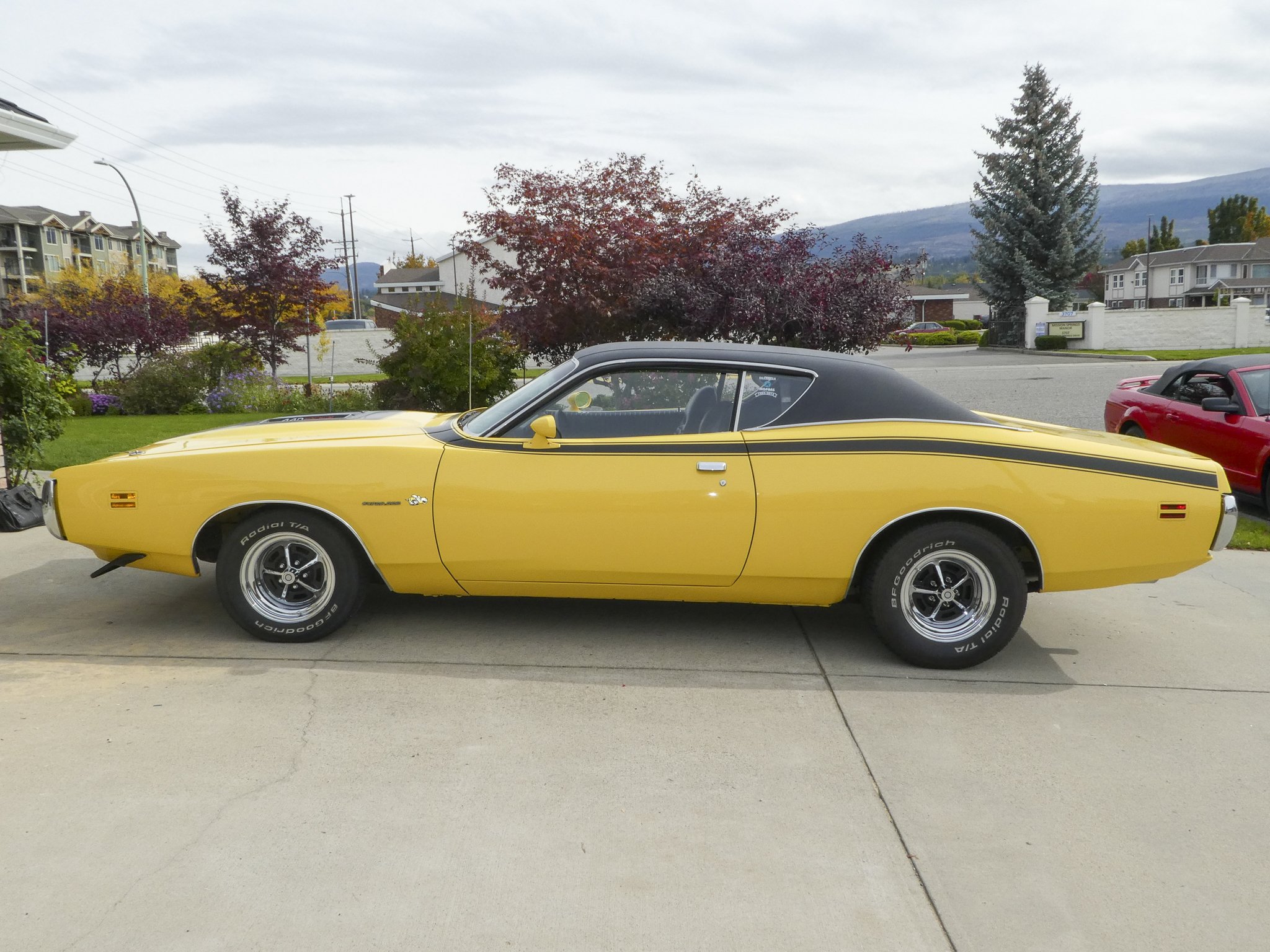 Car Gallery (44 of 87).jpg