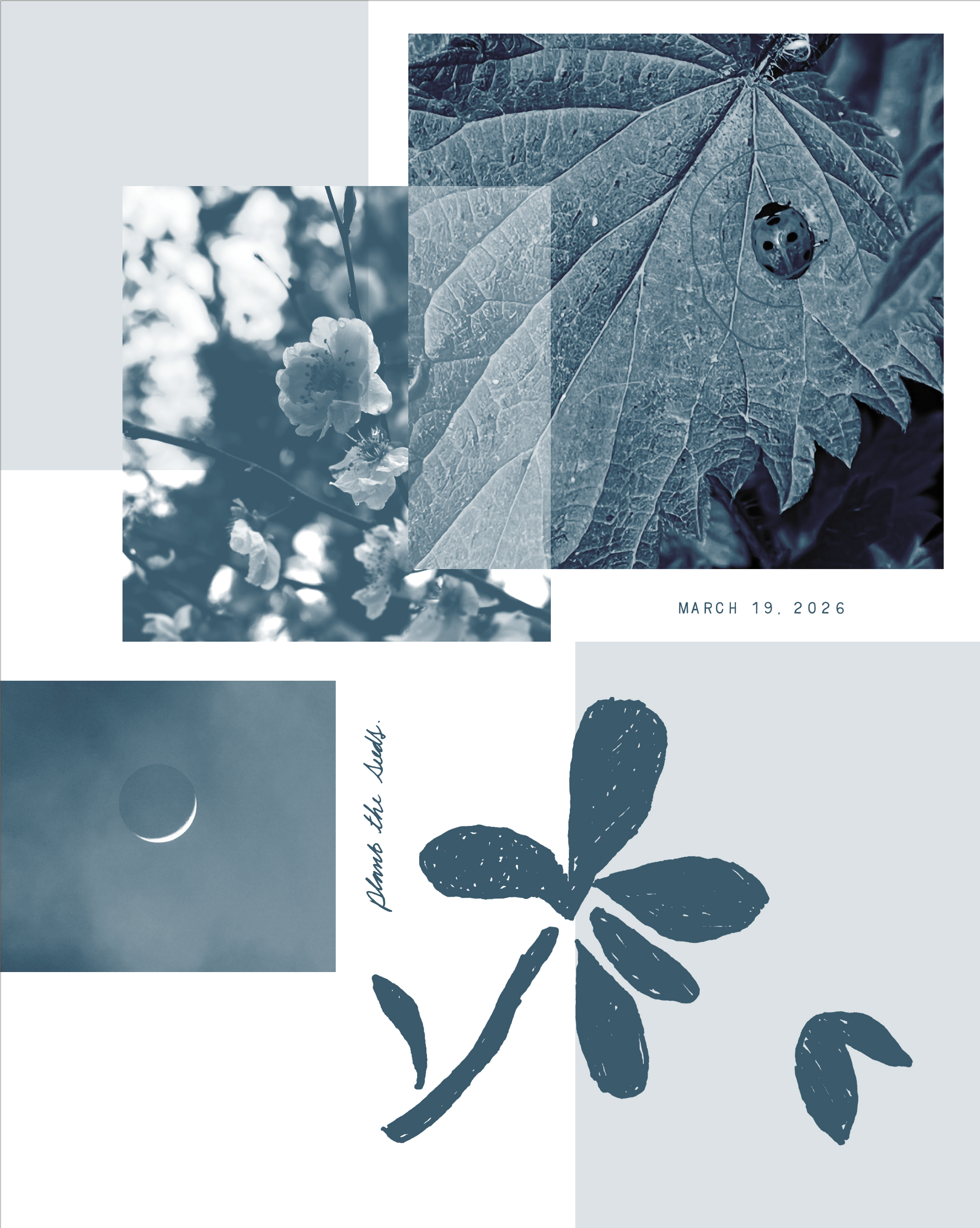 The Rhythms of Spring