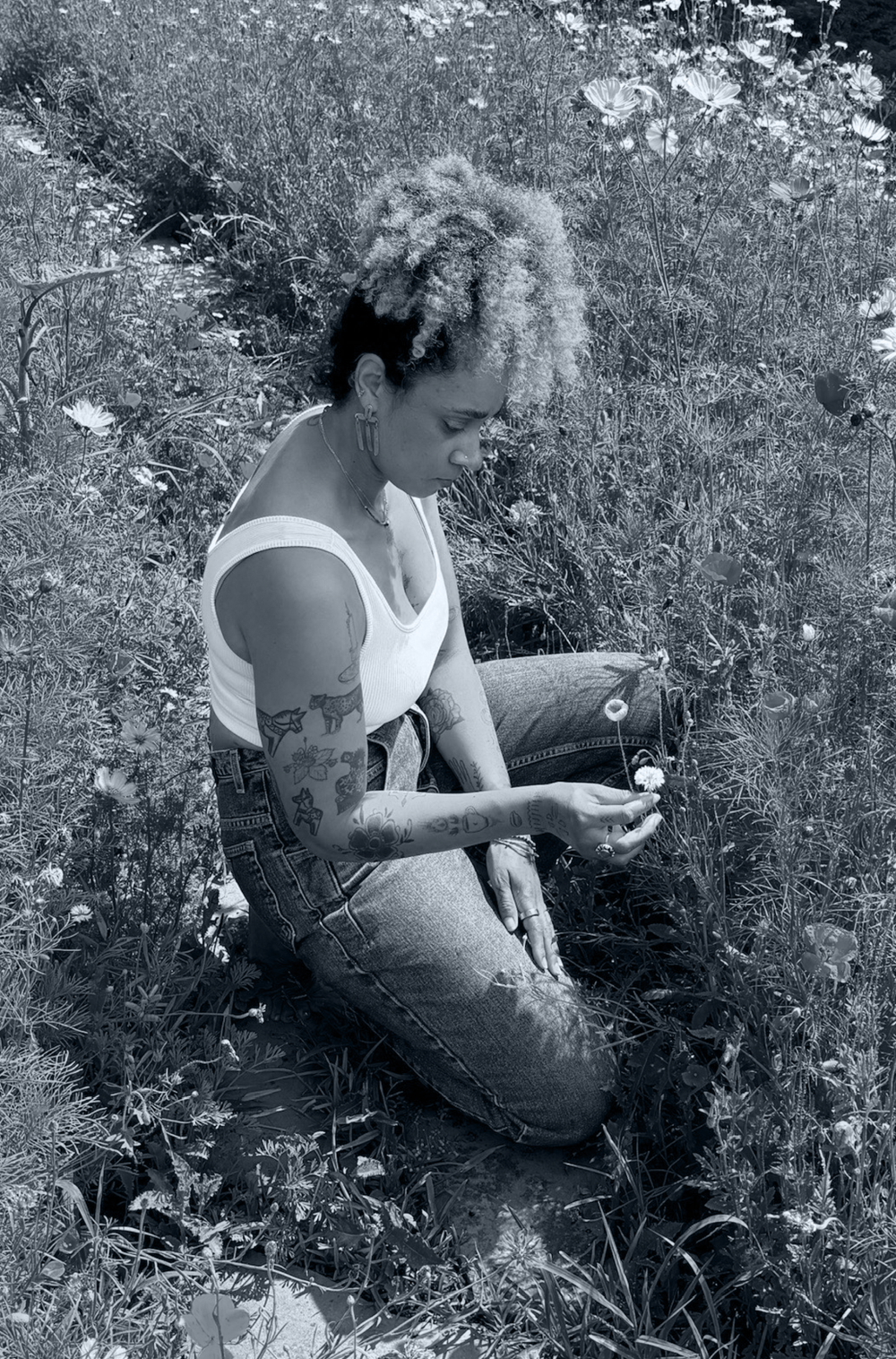 Flower Essences