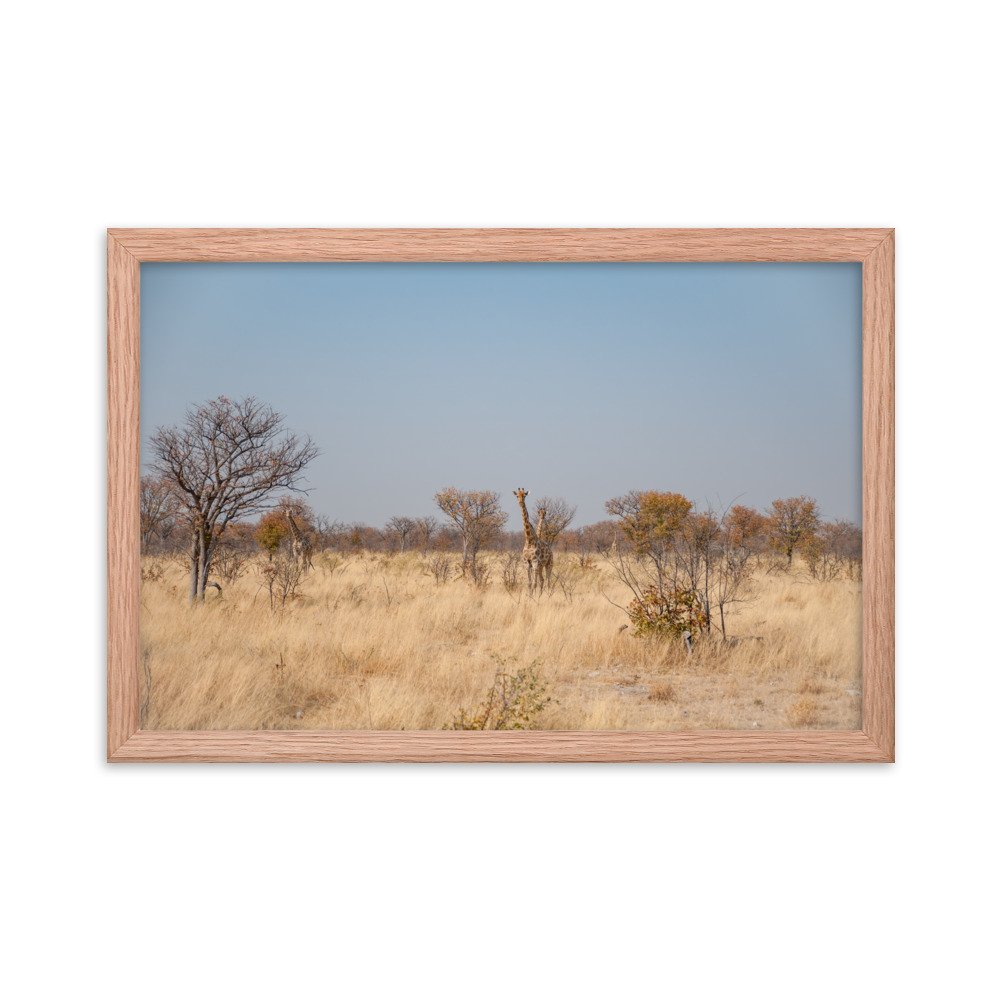 enhanced-matte-paper-framed-poster-(in)-red-oak-12x18-transparent-6765a765a2a1c.jpg