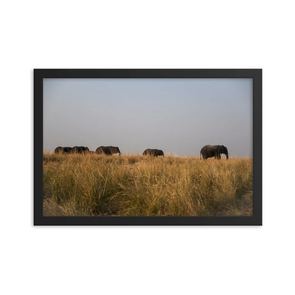 enhanced-matte-paper-framed-poster-(in)-black-12x18-transparent-6765b12d8ee14.jpg
