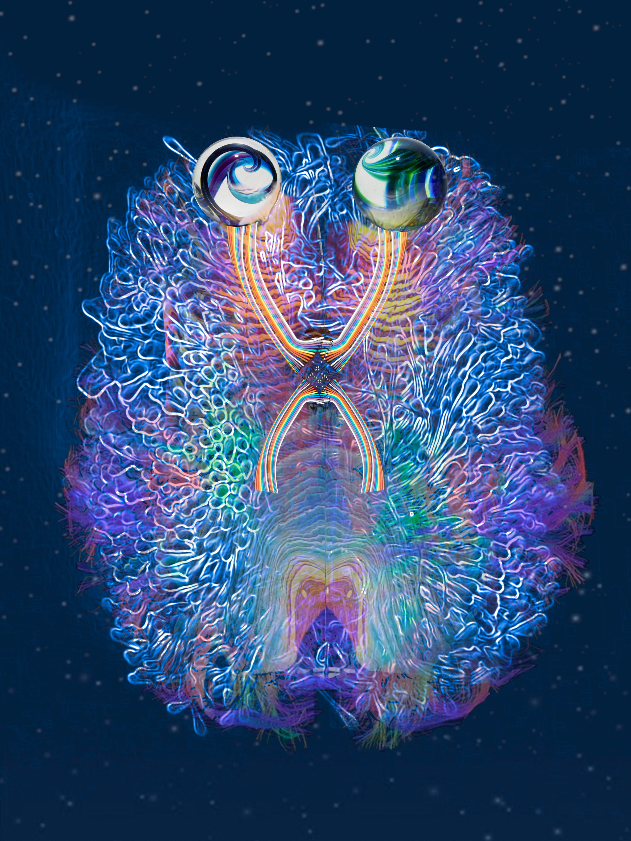 brains.png