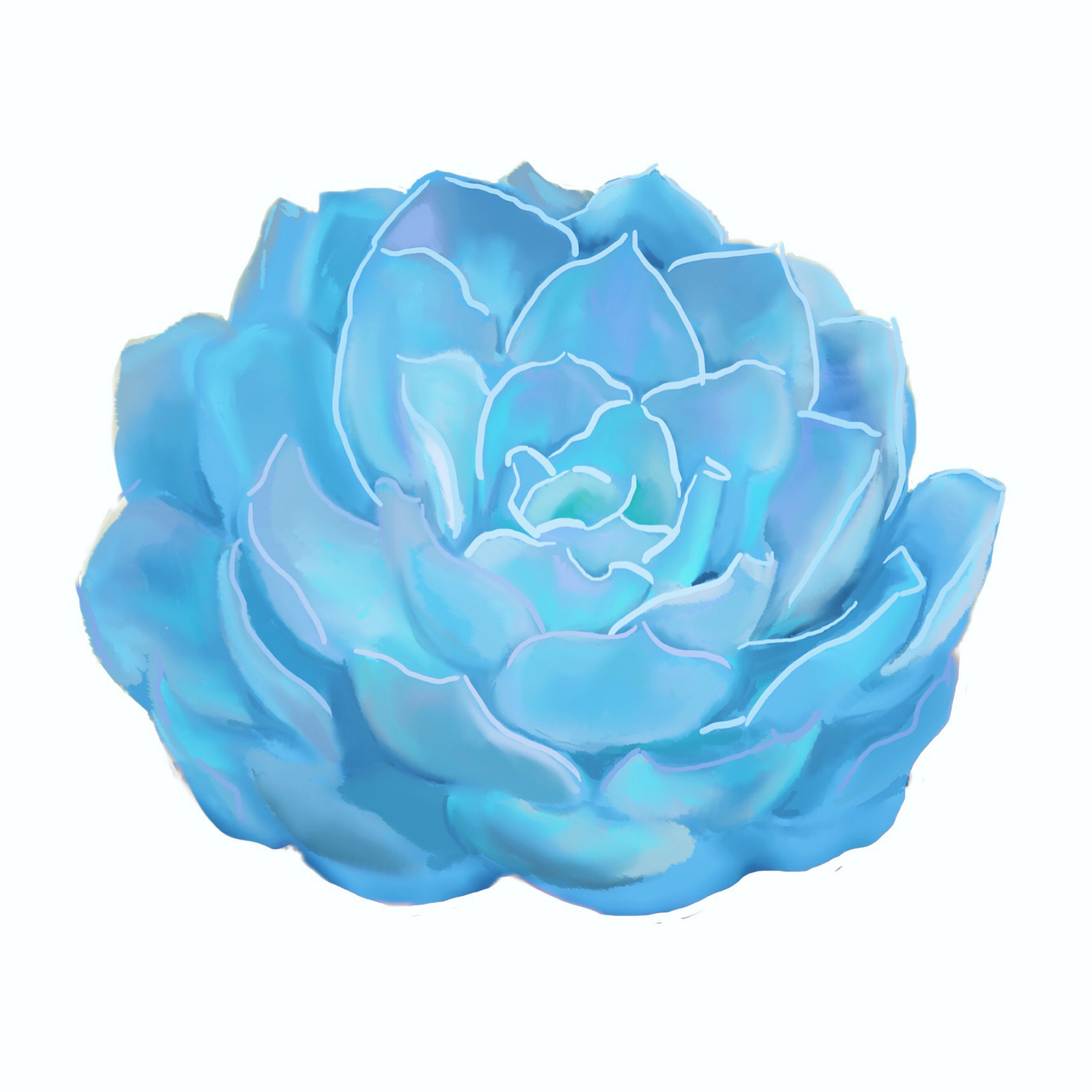 6D7BBDC7-66D6-4747-B6EF-6969374D6C31.png