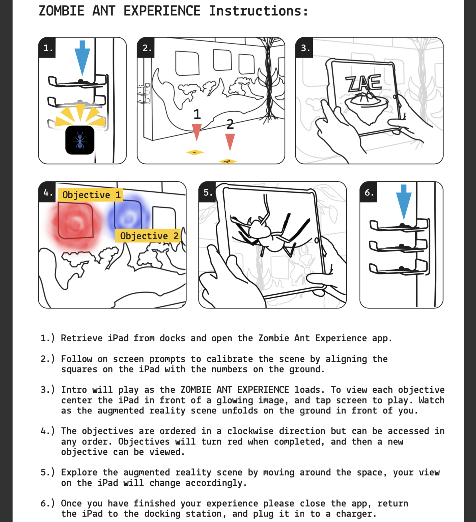 ZAE instructions.png