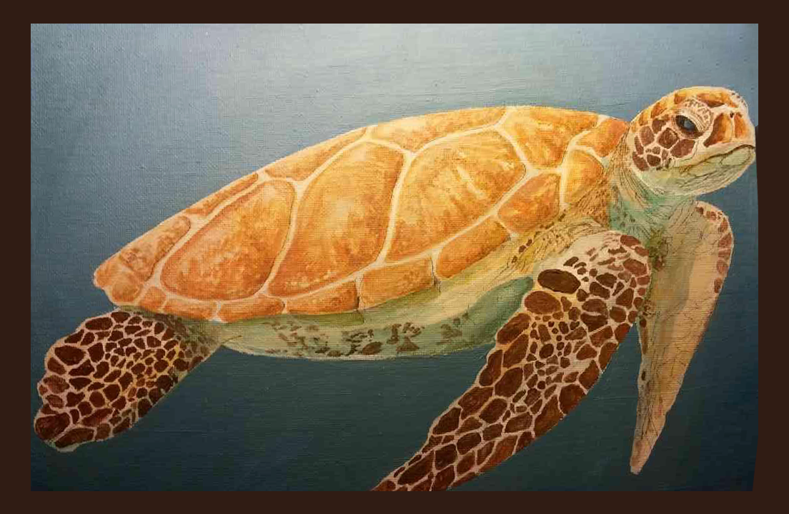 turtle.png