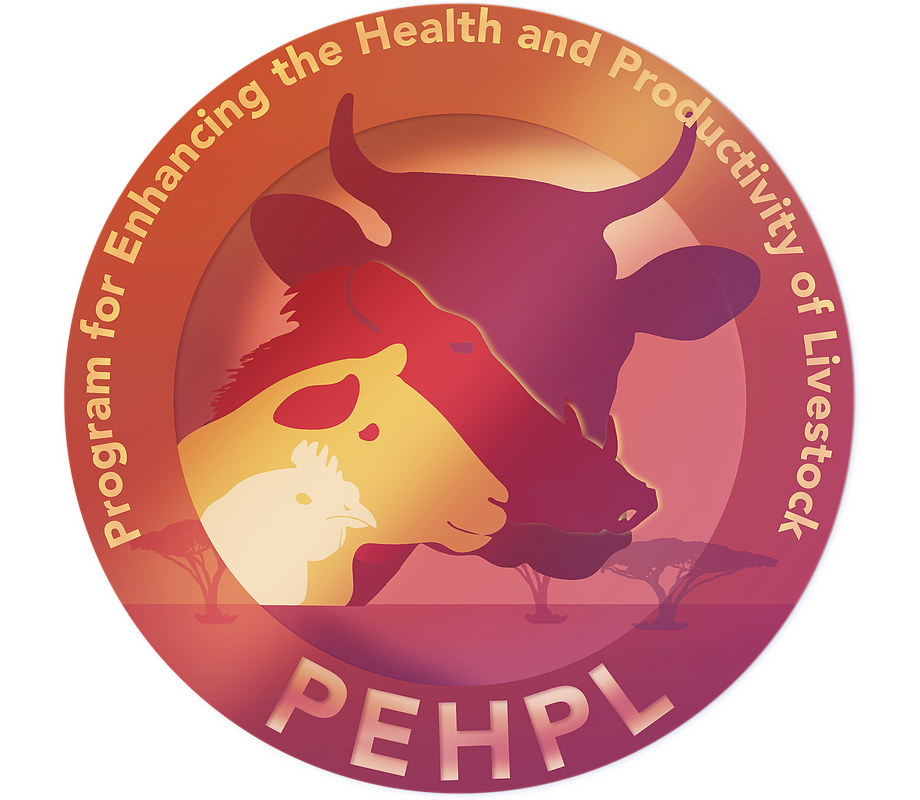 2PEHPL_Logo.png