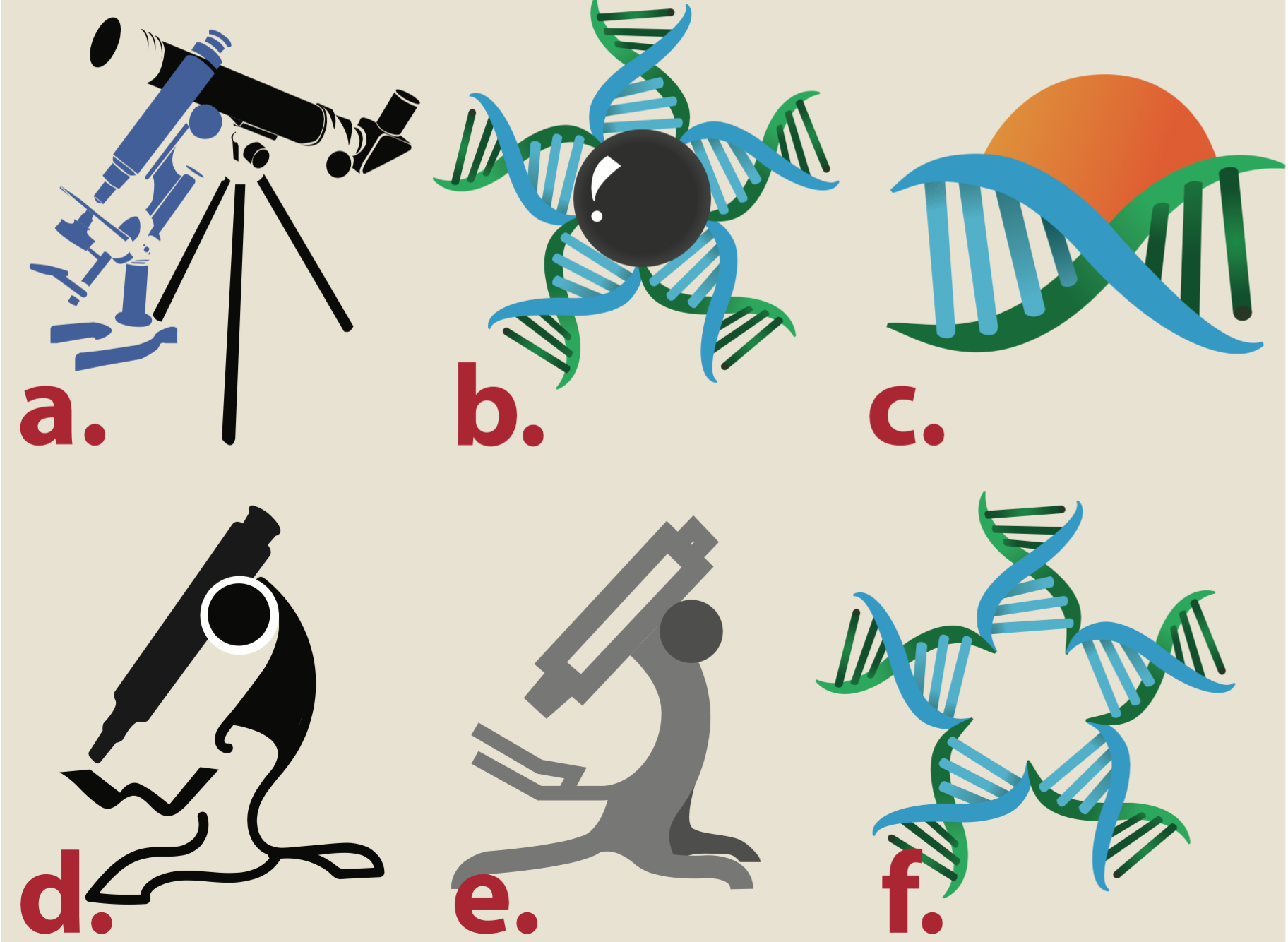 Screen Shot 2015-12-06 at 4.48.20 PM copy.png