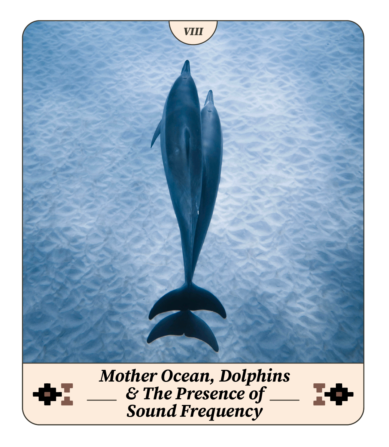 Mother Ocean, Dolphins & Sound Frequency