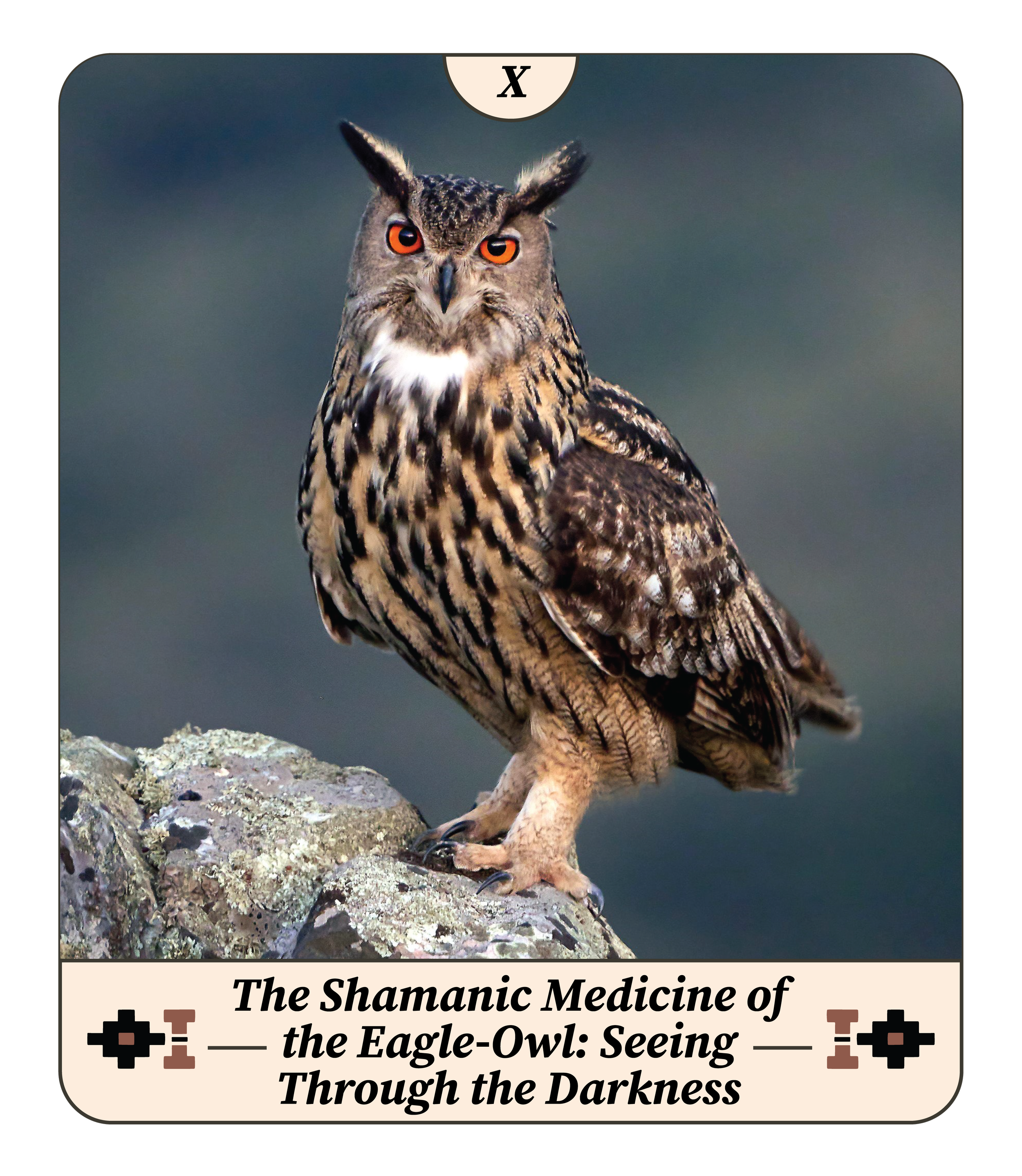 Shamanic Medicine of the Eagle Owl
