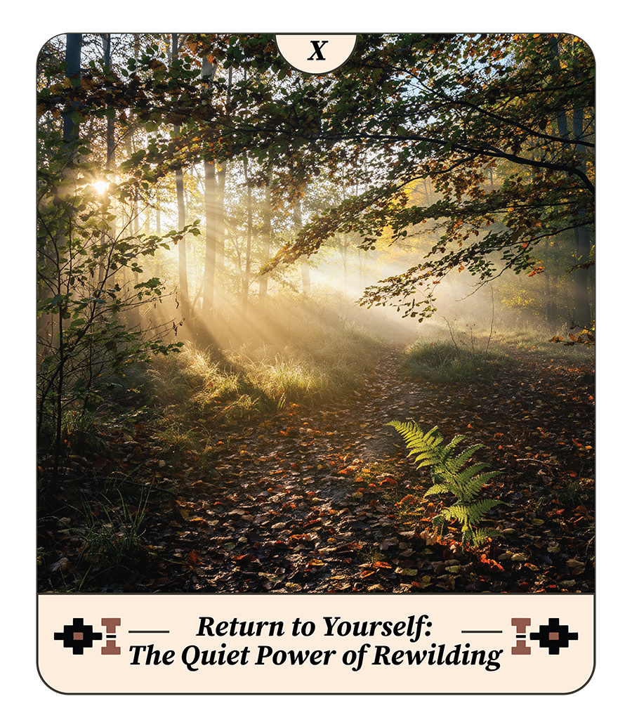 Return to Yourself: The Quiet Power of Rewilding