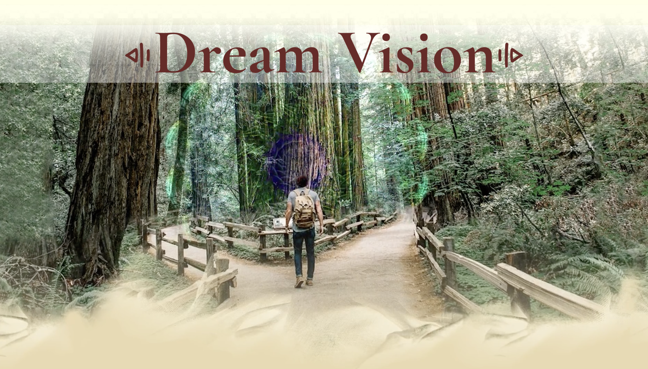 Dream Vision.png