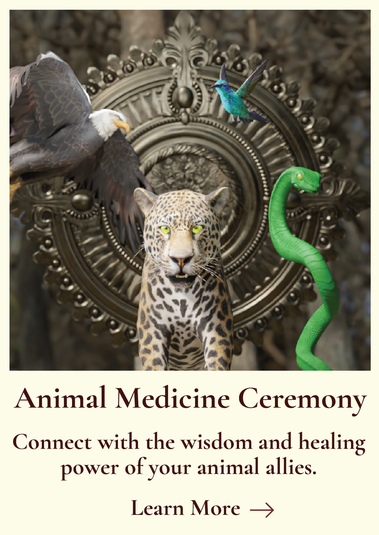 Session Cards_Animal Medicine Ceremony Eddie Mullins