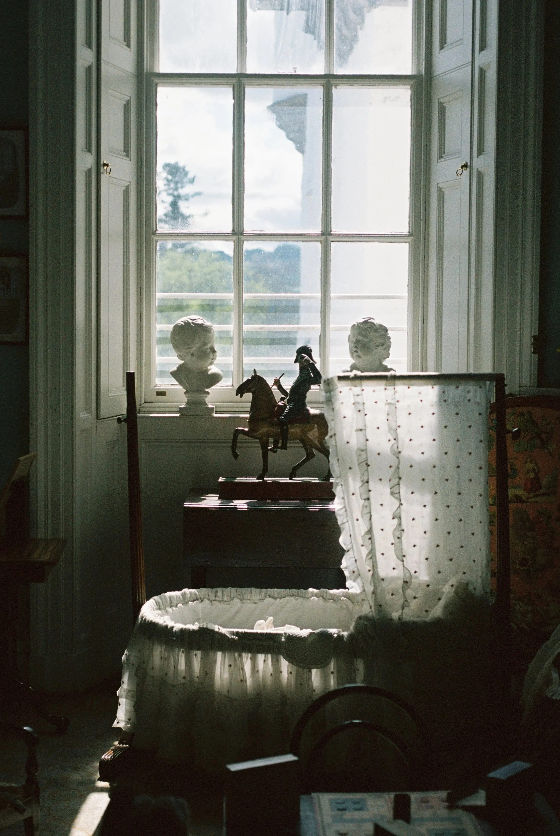 Nikon f100