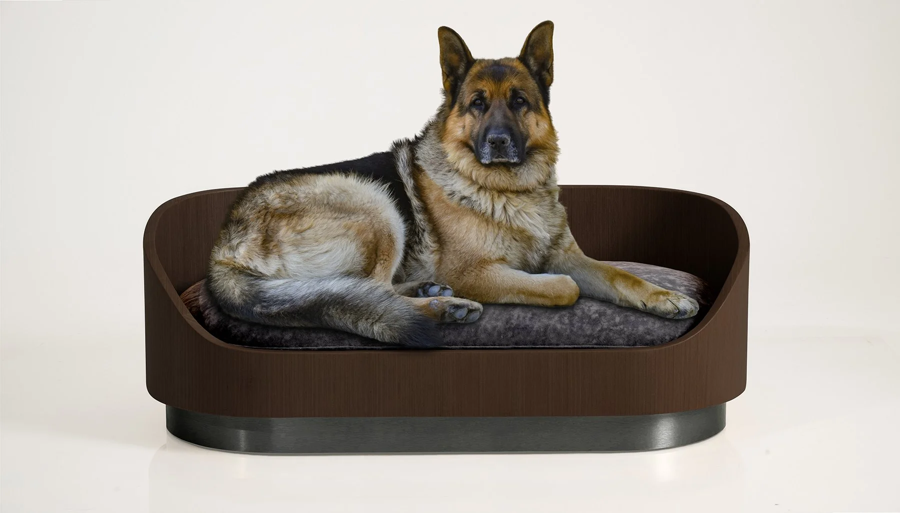 German shepard on large Liebling bed in dark oak and matte black base.jpg