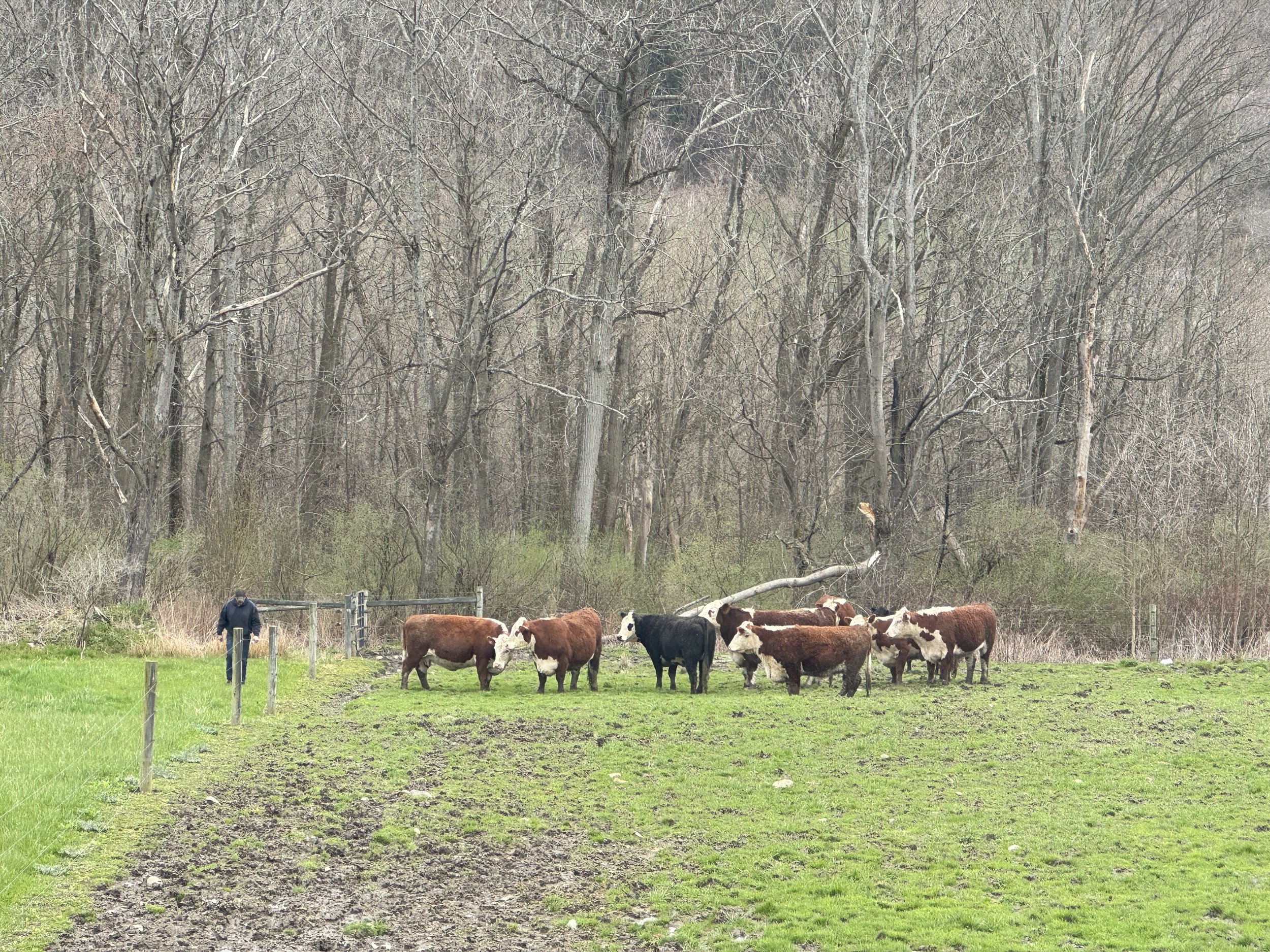 Hidden Diamond Farms HighQuality Beef, Poultry & Pork Baked Goods