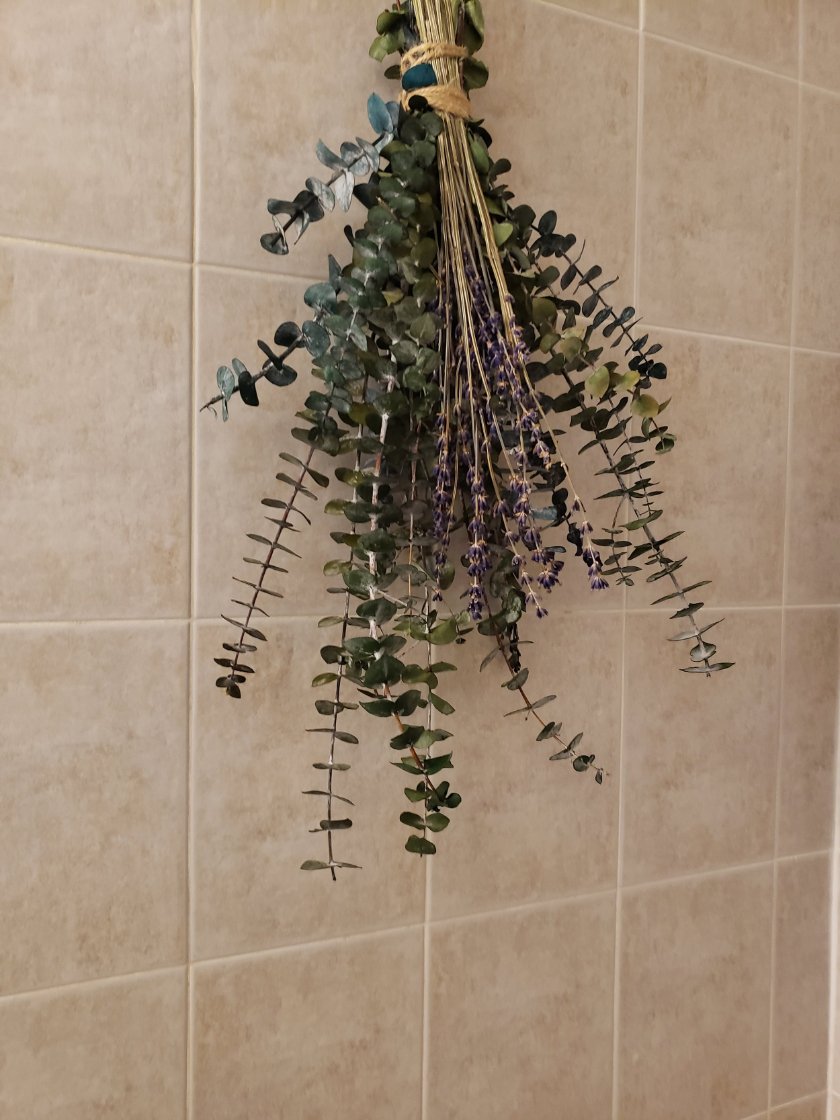 SBK_Decor_Shop_Mississauga_Eucalyptus_Wellness_3.jpg