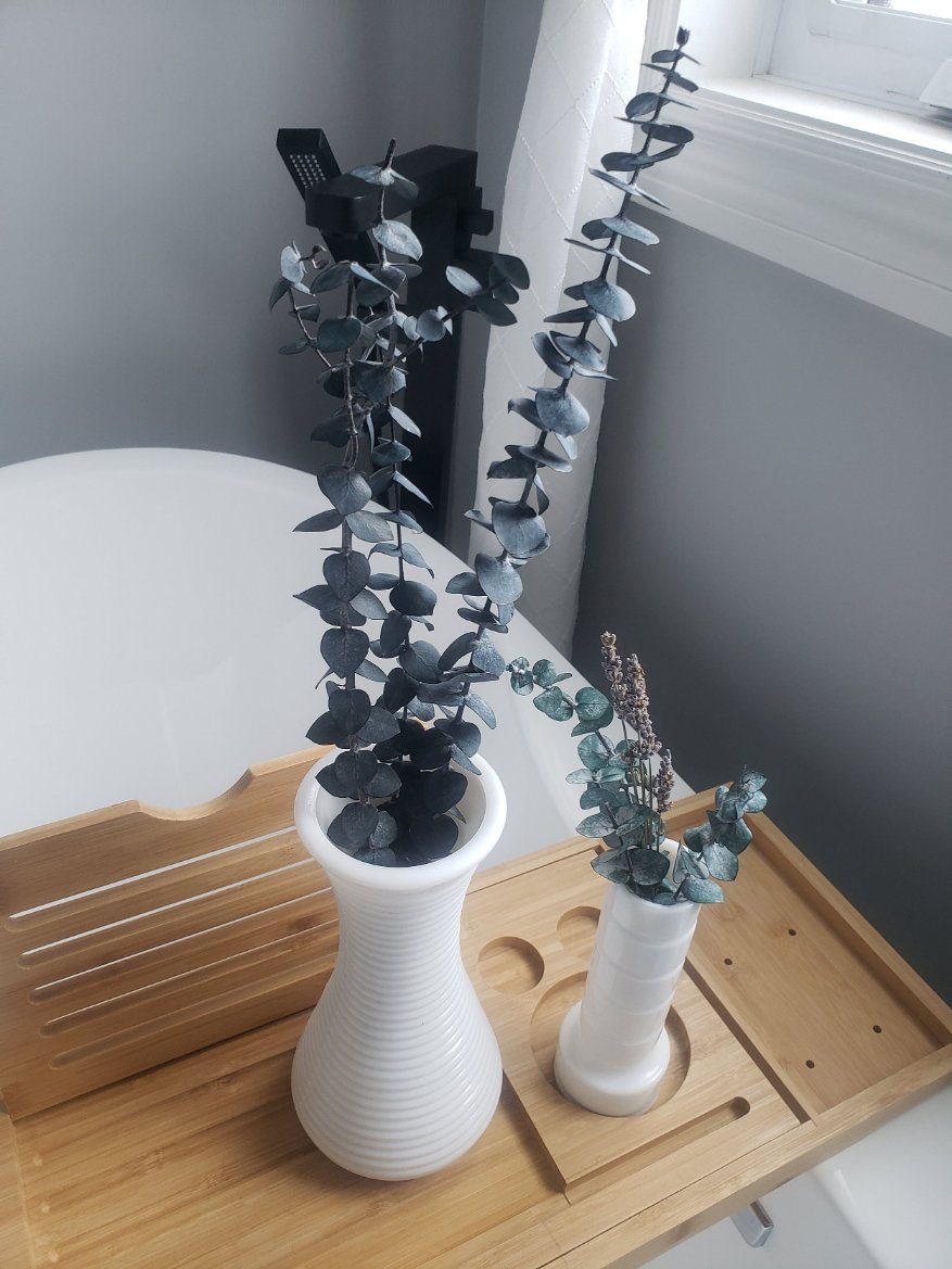 SBK_Decor_Shop_Mississauga_Eucalyptus_Wellness_1.jpg