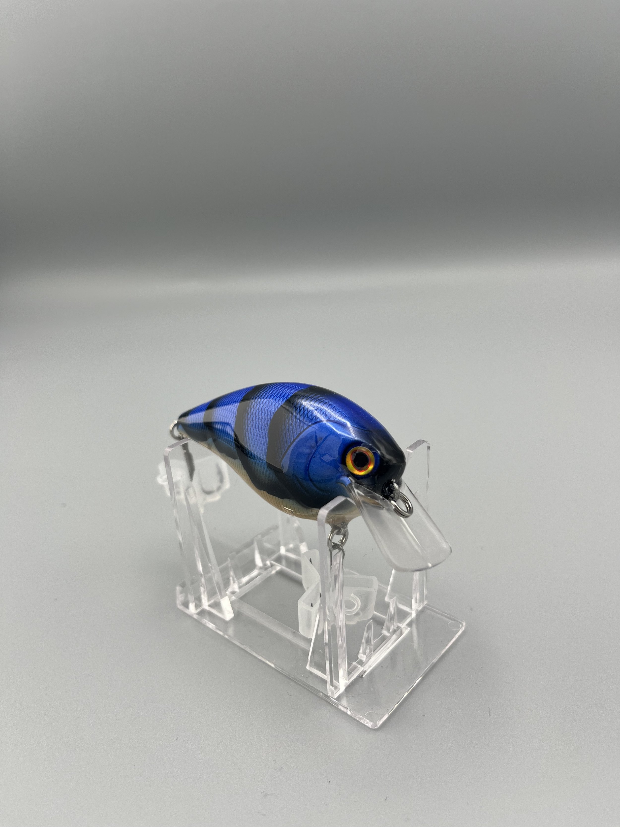 IMG_7195.jpeg