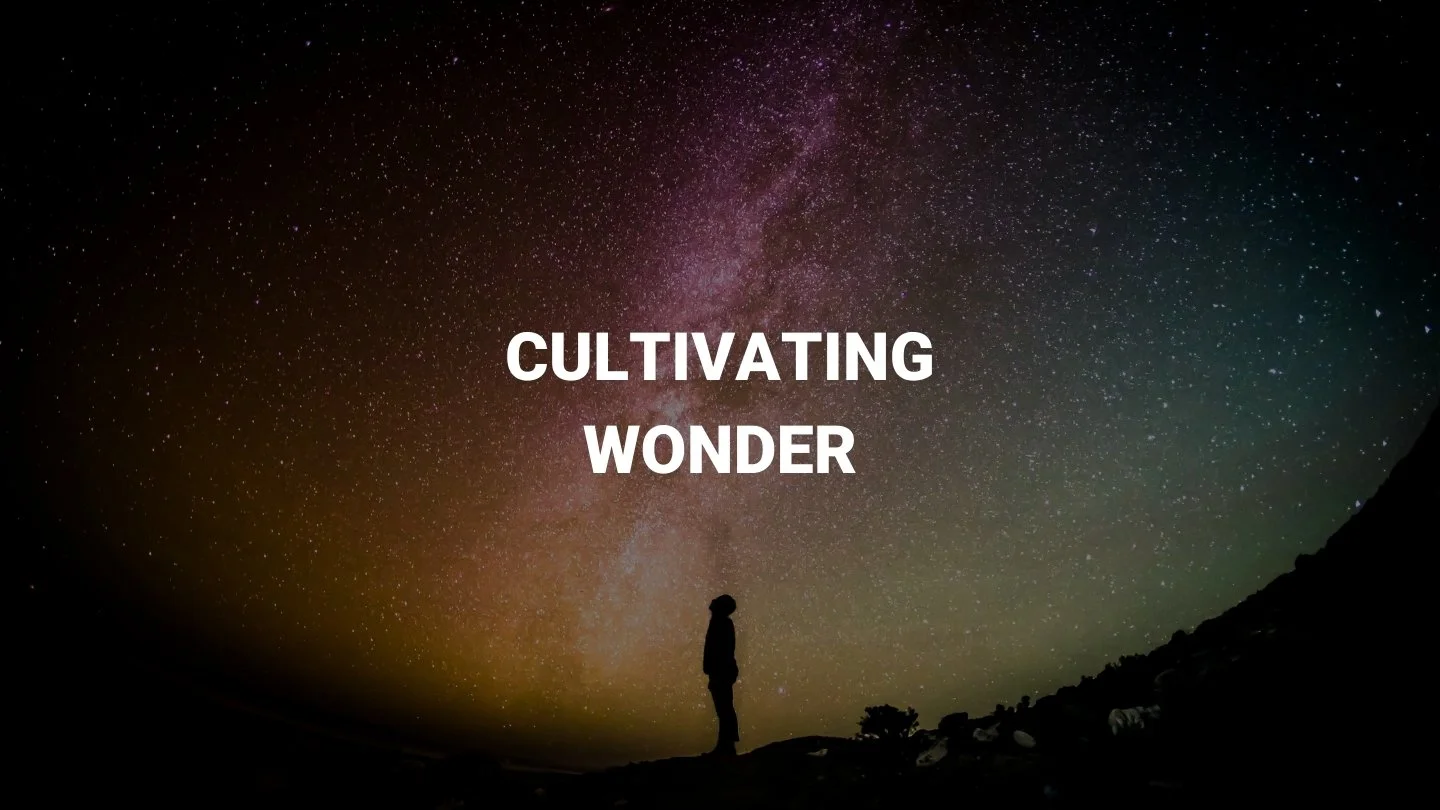 Cultivating Wonder