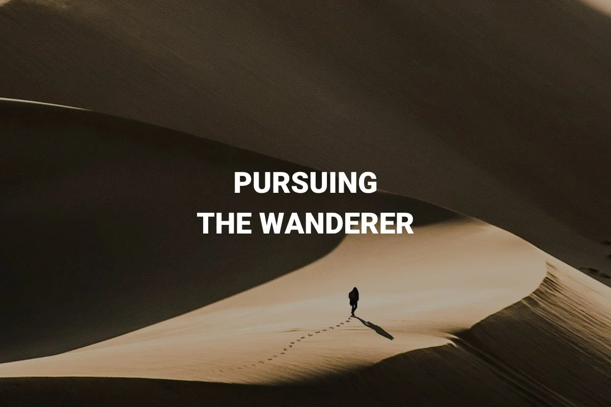 Pursuing the Wanderer