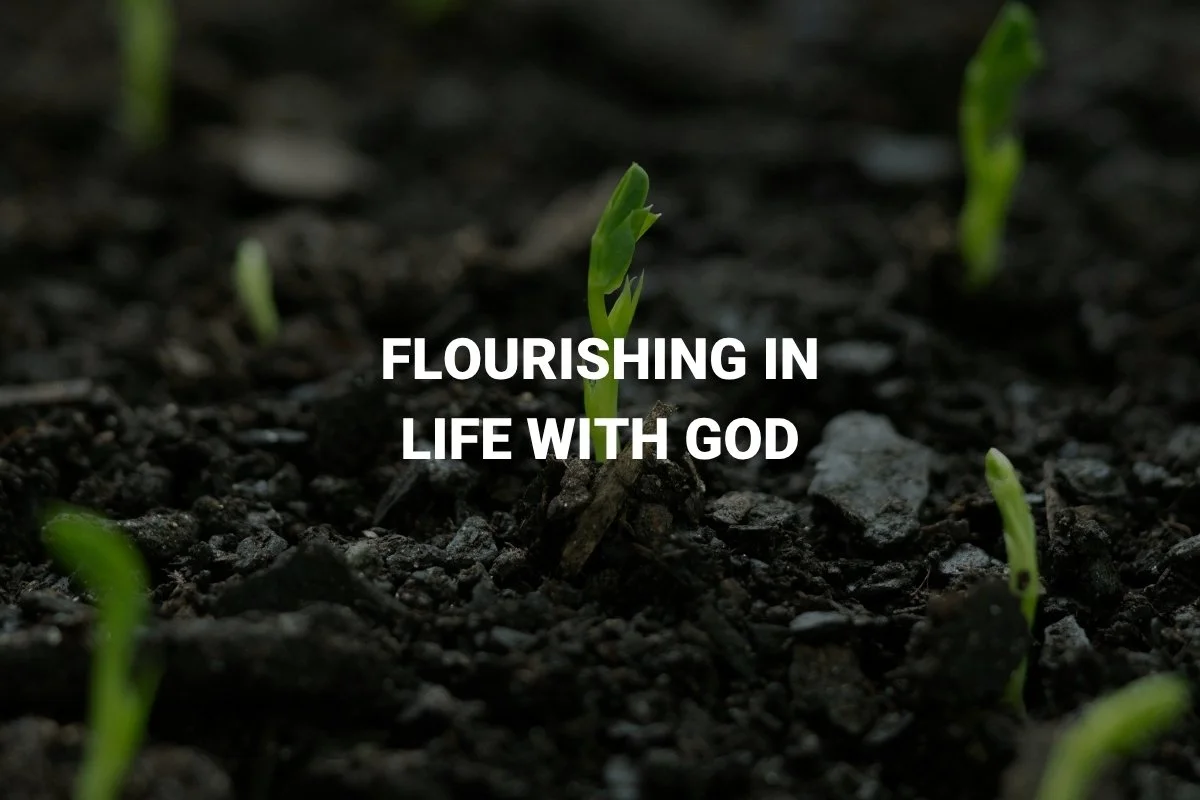 Beauty of God