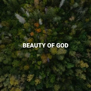 Beauty of God