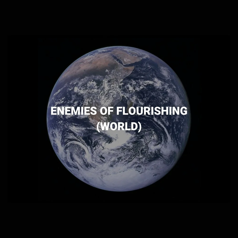 Enemies of Flourishing (World)