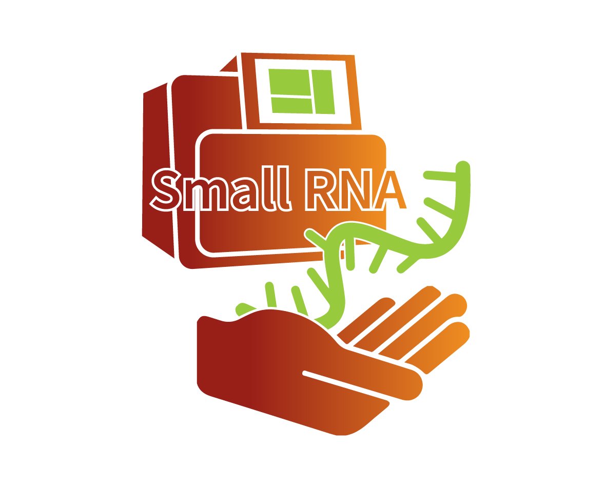 Small RNA Library and Sequencing Service