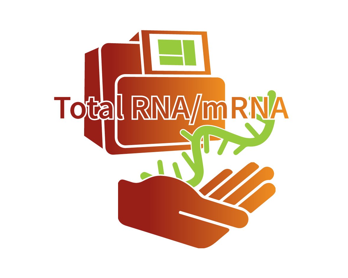 mRNA Library and Sequencing Service