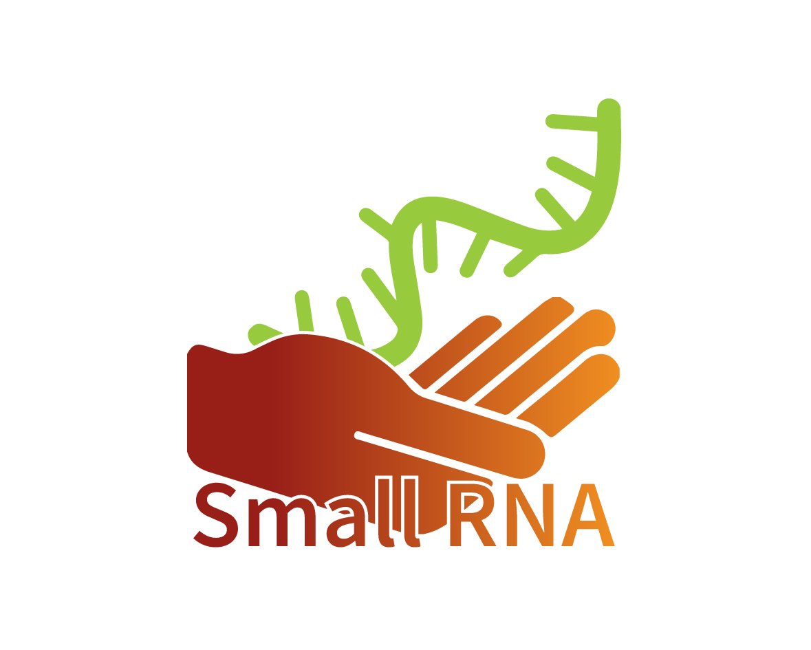 Small RNA Library Prep Service