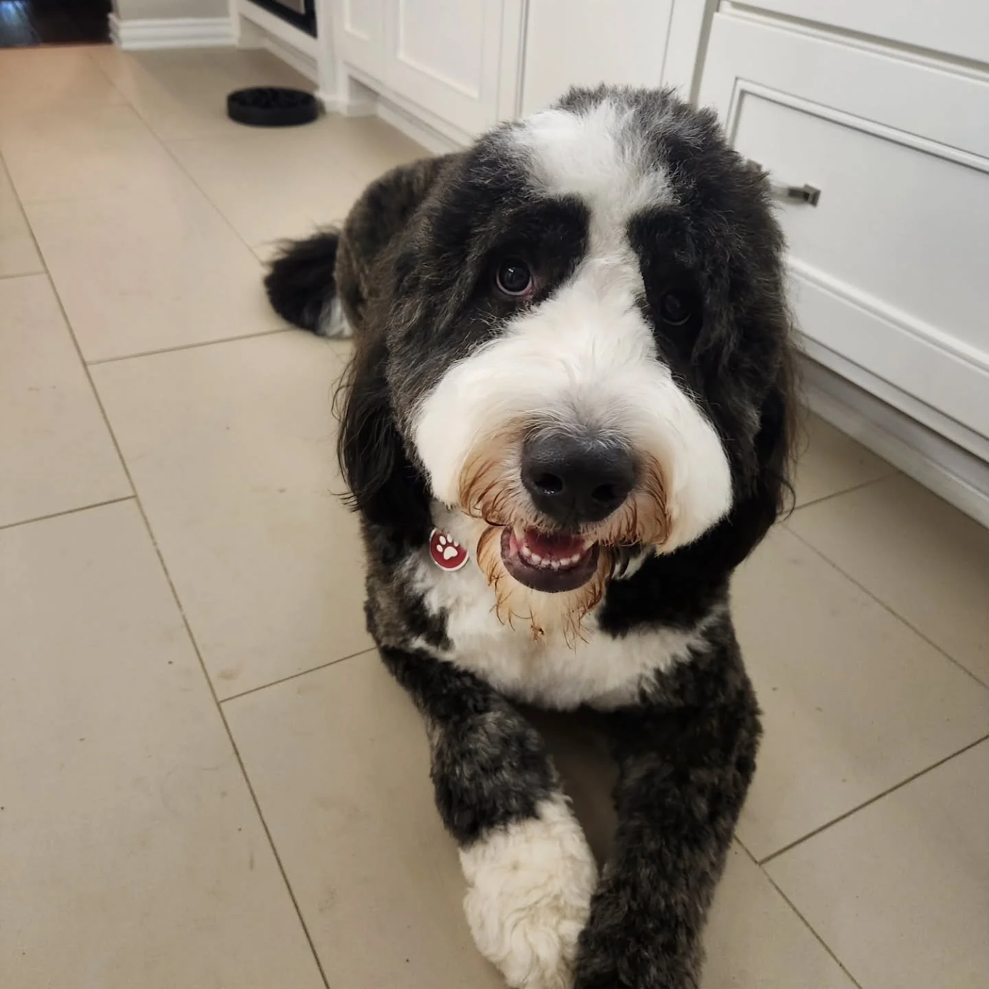 Sibling (Bernie, Brewster, Mr. Wallace)