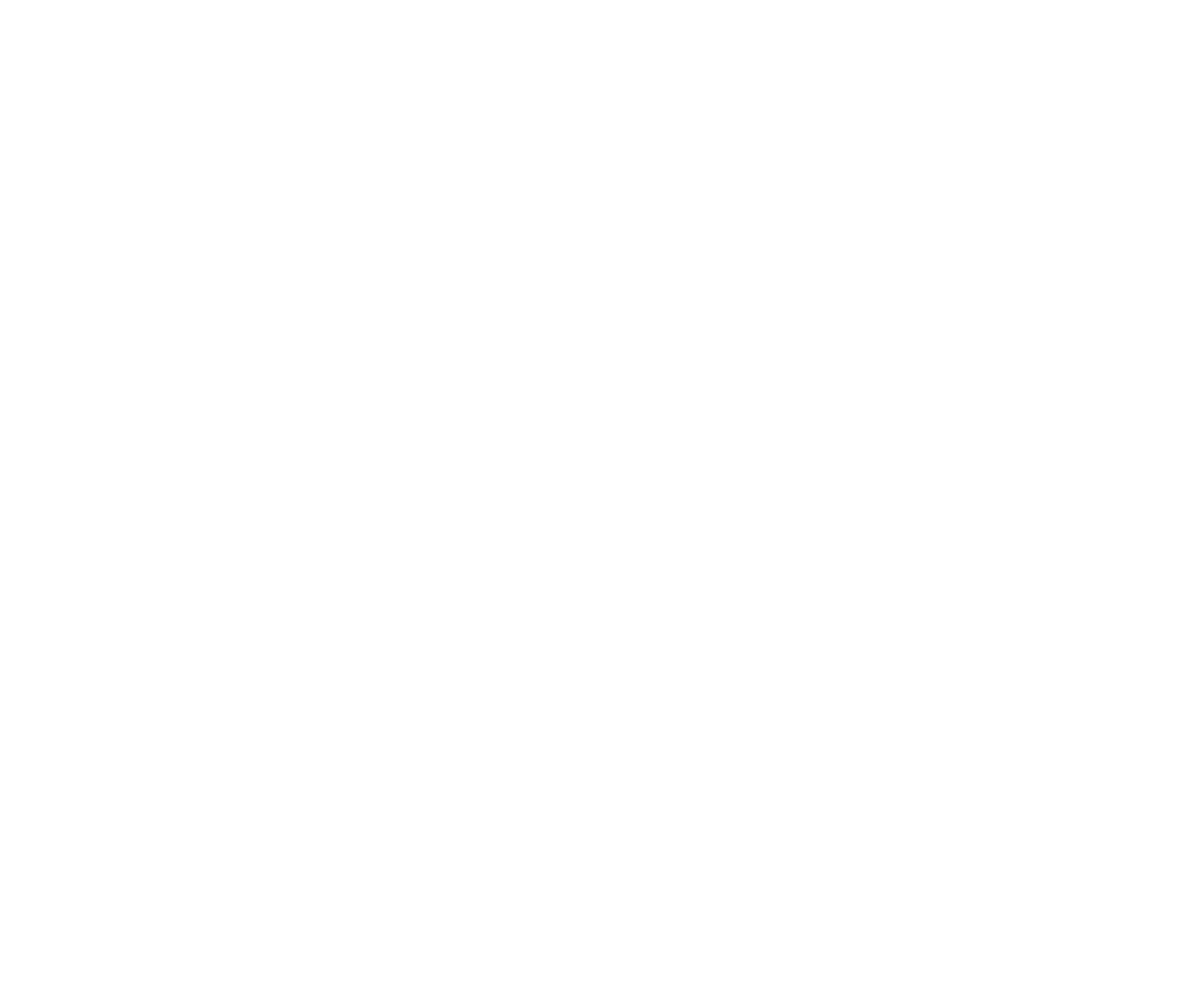 Peter Hill Int_Logo_Wht.png