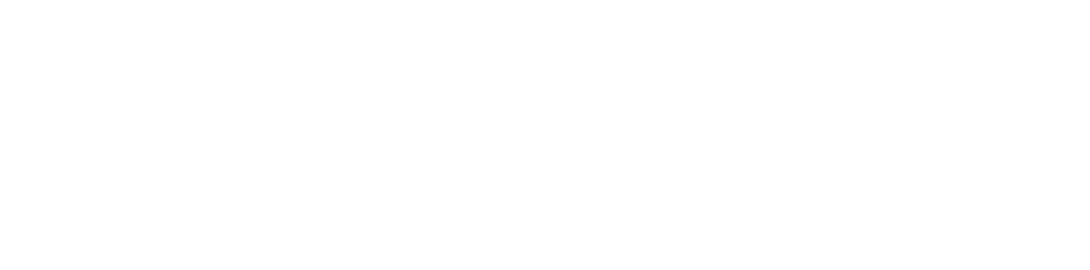 Levlane-Logo_Wht.png