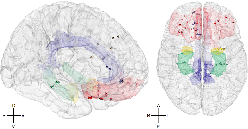 computational-neuroscience-diagram-2.png