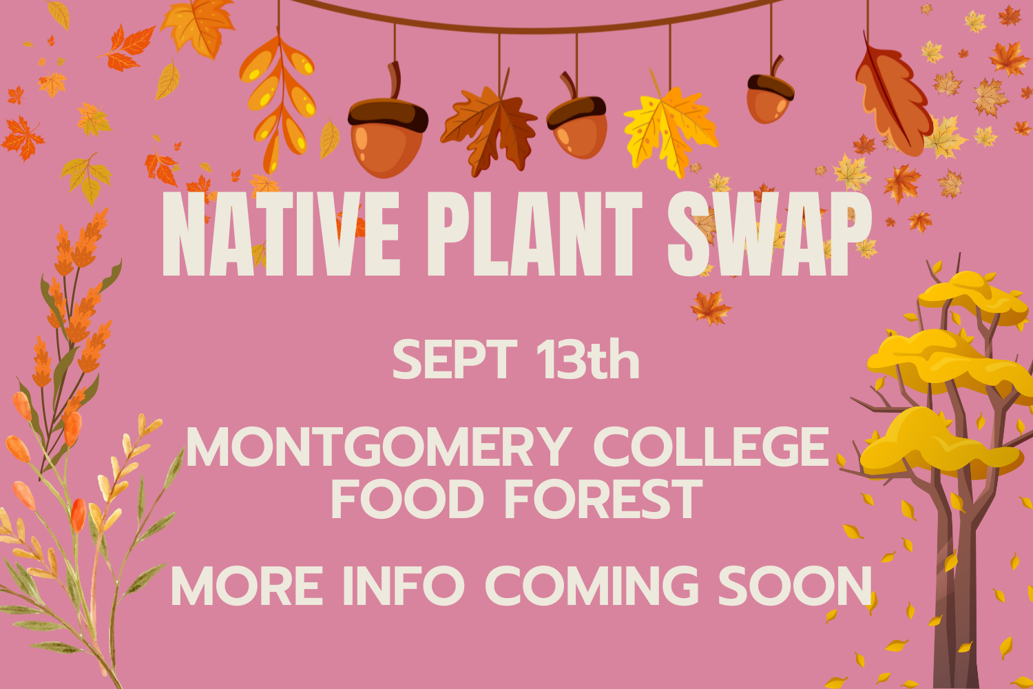 Native plant swap