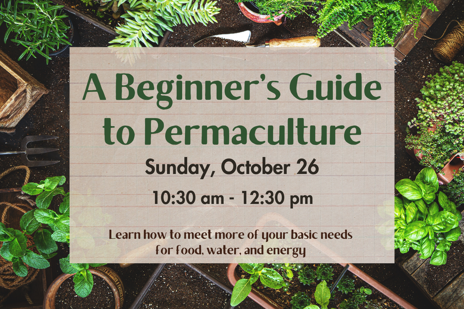A Beginner’s Guide to Permaculture Design