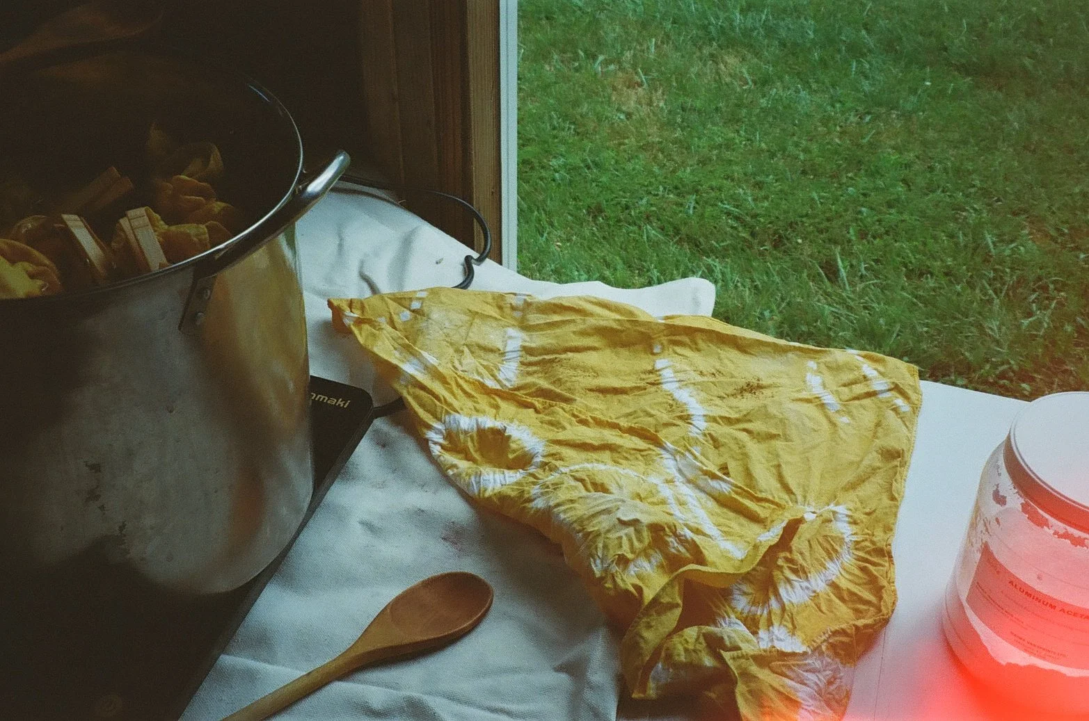 Natural Dye Workshop