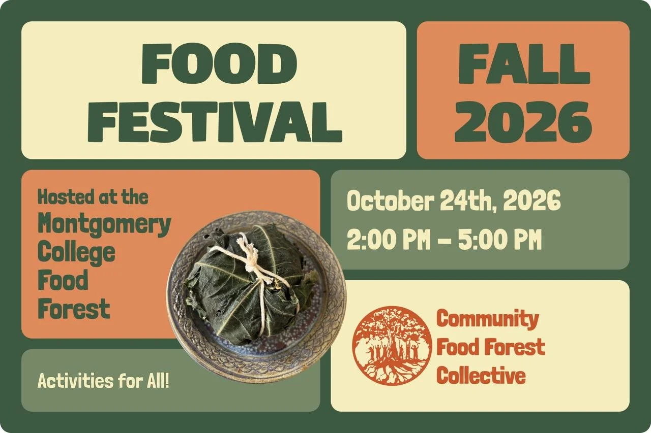 Fall food Festival 2026