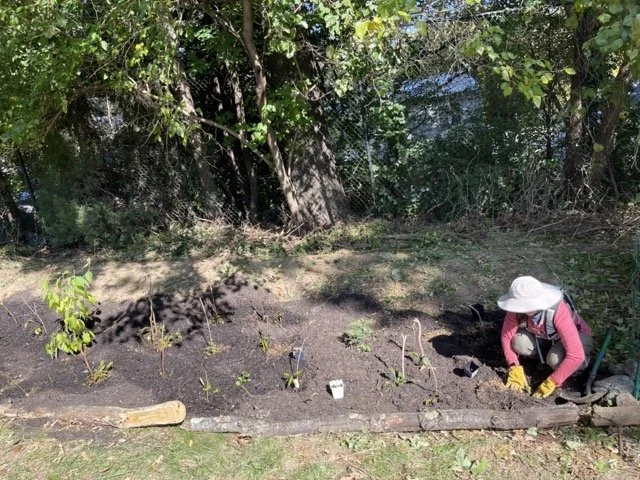 IMG_2600 Medium.jpeg