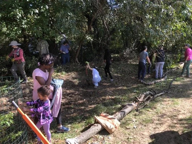 IMG_8671 Medium.jpeg